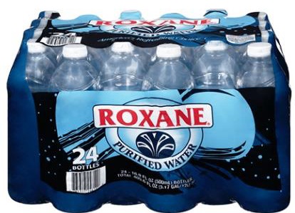 AGUA ROXANE 24/500ML